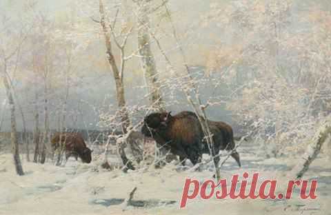 Евгений Техменев «Зубры в зимнем лесу»