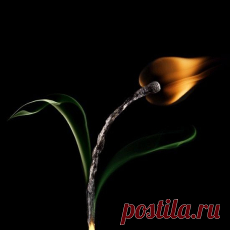 Мудр не тот, кто знает многое, а тот, кто знает нужное. © Эсхил﻿