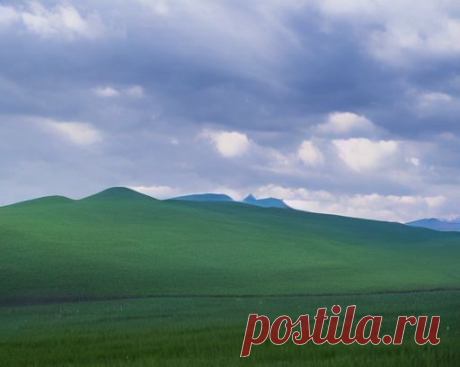 Без названия