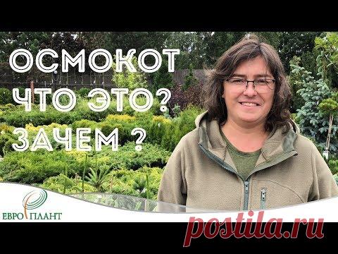 Маслянистые шарики в контейнерах с растениями.