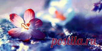 Очень сложно описать словами нежность... Прекрасные и нежные работы фотографа Barbara Florczyk. Приятного просмотра!В освобожденье - безмятежность, В покое мерно льётся жизнь... Ты покажись, откройся нежность! В своей невинности - явись И в полумраке, беззаветно, С такой улыбкой неземной Мне стань дороже звёзд и ветра Дороже всех, кто был со мной. За этот миг отдать готова Я сто ночей и...