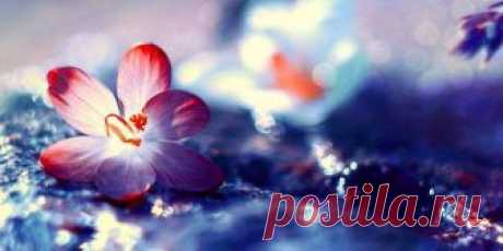 Очень сложно описать словами нежность... Прекрасные и нежные работы фотографа Barbara Florczyk. Приятного просмотра!В освобожденье - безмятежность, В покое мерно льётся жизнь... Ты покажись, откройся нежность! В своей невинности - явись И в полумраке, беззаветно, С такой улыбкой неземной Мне стань дороже звёзд и ветра Дороже всех, кто был со мной. За этот миг отдать готова Я сто ночей и...