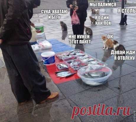 Короткометражная хохма под названием - ЖИЗНЬ.