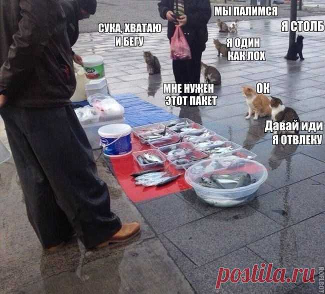Короткометражная хохма под названием - ЖИЗНЬ.