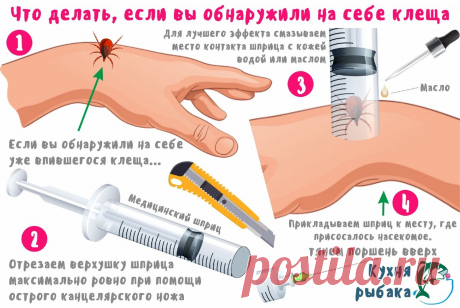 Вытаскиваем клеща при помощи шприца на рыбалке | Кухня рыбака | Яндекс Дзен