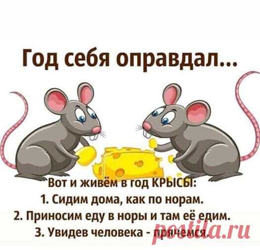 Ярошенко Денис