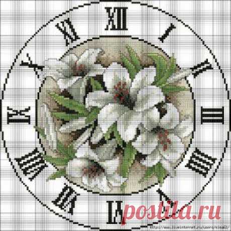 Бесподобная красота люпинов! (смотрим и наслаждаемся)