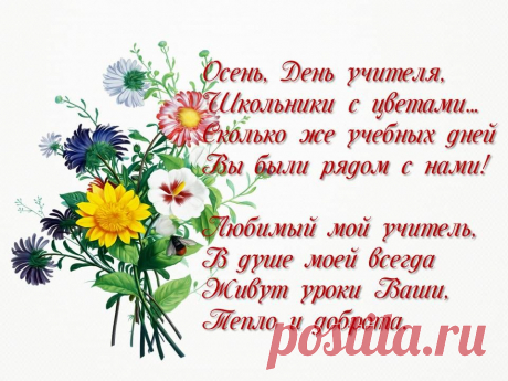 Не важно, сколько лет пройдёт,
Учителей мы не забудем,
И в сердце каждого живёт
Святое чувство к этим людям.
И в день учителя для них
Звучат слова любви, заботы.
Желаем вам всех благ земных,
За вашу трудную работу!