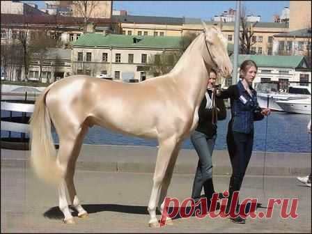 Занимательные факты и интересные фото