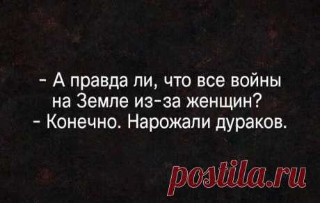 (1) Хамка - Home