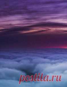 Красный ковер / Surfingbird знает всё, что ты любишь