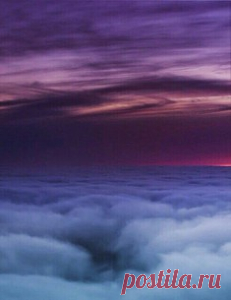 Красный ковер / Surfingbird знает всё, что ты любишь