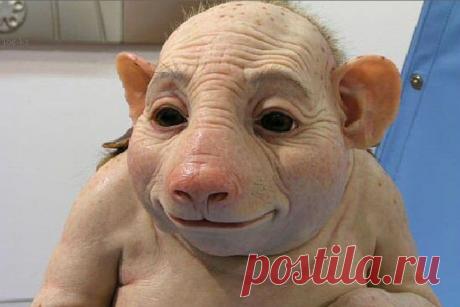 Публикация: Сказочные существа или гибриды человека?