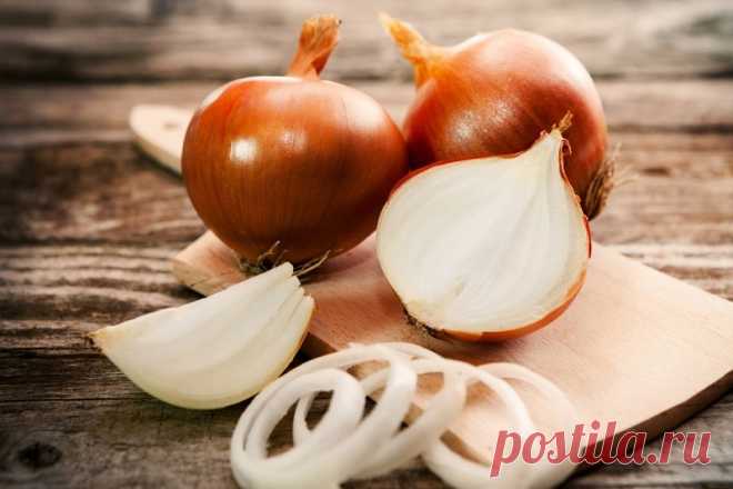 Какой лук куда применять - DYNASTYOFCHEFS.RU