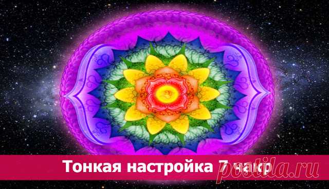 Тонкая настройка 7 чакр 

Данная медитация принесет вам исключительную пользу. Особенно, если вы будете ее прослушивать каждое утро перед началом рабочего дня. Уже через несколько дней вы получите положительные результаты - …