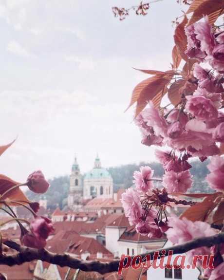 Туризм, отдых и путешествия