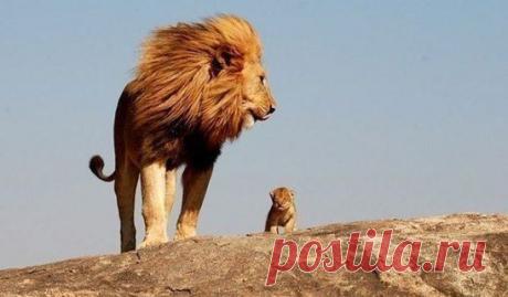 В хорошем поступке есть всегда и доброта и сила для его совершения.