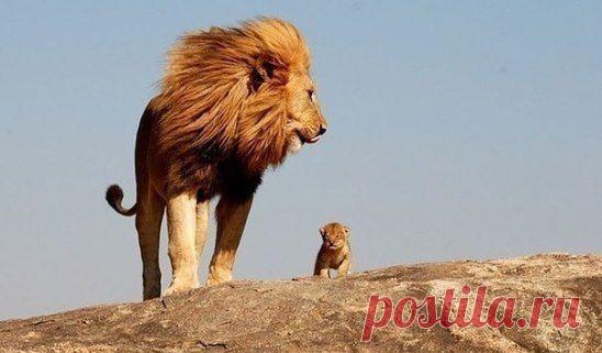 В хорошем поступке есть всегда и доброта и сила для его совершения.