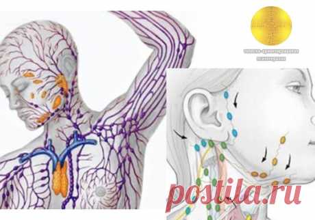 ОЧИЩЕНИЕ ЛИМФЫ: Золотые рецепты фитотерапии.

Лимфатическая система – одна из самых сложных и хитро устроенных систем человека. Это система вывода ядов из организма, особенно бактериальных и грибково-паразитарных ядов простейших. Практически от этой системы зависит иммунитет человека, а иммунитет – это Жизнь!

Отягощенная лимфосистема
Лимфатическая система – одна из самых сложных и хитро устроенных систем человека. Это система вывода ядов из организма, особенно бактериальн...