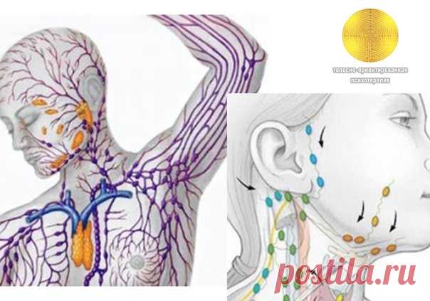 ОЧИЩЕНИЕ ЛИМФЫ: Золотые рецепты фитотерапии.

Лимфатическая система – одна из самых сложных и хитро устроенных систем человека. Это система вывода ядов из организма, особенно бактериальных и грибково-паразитарных ядов простейших. Практически от этой системы зависит иммунитет человека, а иммунитет – это Жизнь!

Отягощенная лимфосистема
Лимфатическая система – одна из самых сложных и хитро устроенных систем человека. Это система вывода ядов из организма, особенно бактериальн...