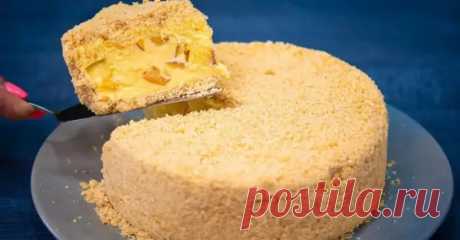 (37) Торт с нектаринами без выпечки - Будет вкусно - 11 августа - 43535707006 - Медиаплатформа МирТесен