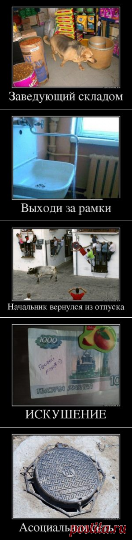 Просто классные демотиваторы и ничего больше