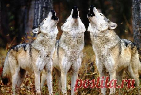 Народные приметы: 2 ноября - Погода на Joinfo.ua