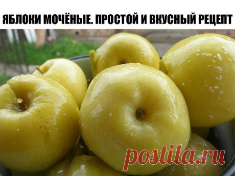 Яблоки мочёные. Простой и вкусный рецепт 

Для замачивания возьмем яблоки сорта Антоновка. 

Серединку не вырезаем. 

В кастрюлю на дно кладем листья смородины, затем яблоки укладываем хвостиками вверх. 

Каждый слой перекладываем смородиновыми листьями. Можно вместо смородины переложить мелко нарезанной овсяной соломой. 

Заливаем яблоки холодным сиропом и кладем сверху гнет. 

На каждые 10 л воды — 400 г сахара и 3 ст. ложки соли. Кипятим и охлаждаем. Можно вместо сахара...