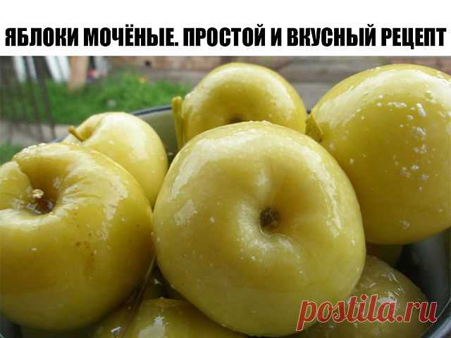 Яблоки мочёные. Простой и вкусный рецепт 

Для замачивания возьмем яблоки сорта Антоновка. 

Серединку не вырезаем. 

В кастрюлю на дно кладем листья смородины, затем яблоки укладываем хвостиками вверх. 

Каждый слой перекладываем смородиновыми листьями. Можно вместо смородины переложить мелко нарезанной овсяной соломой. 

Заливаем яблоки холодным сиропом и кладем сверху гнет. 

На каждые 10 л воды — 400 г сахара и 3 ст. ложки соли. Кипятим и охлаждаем. Можно вместо сахара...