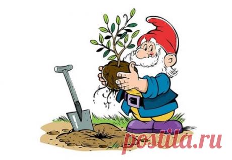 8 СЕКРЕТОВ ДЛЯ САДОВОДОВ
1. Йод для капусты
В ведро воды добавить 40 капель йода. Когда начнет формироваться кочан, поливать капусту под растение по 1 литру.
2. Ускорение пророста
Чтобы семена быстрее проросли их замачивают в растворе перекиси водорода (4%) на 12 часов (капуста), а семена помидоров и свеклы - на 24 часа. Для обеззараживания семян (вместо марганцовки) их обрабатывают 10% перекисью водорода 20 минут. Соотношение раствора и семян 1:1. Затем семена промывают и просушивают.
3. Ч