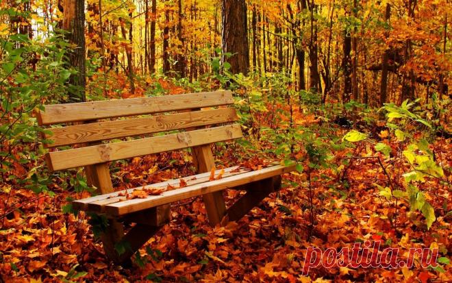 Осень, листопад, парк, скамья
