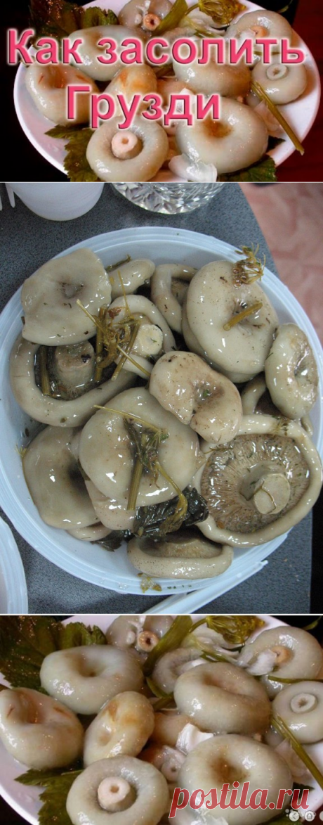 Засолка грибов.