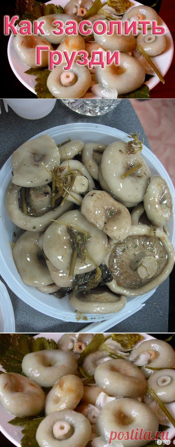Засолка грибов.