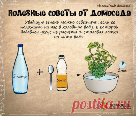 Домашние хитрости | DiddlyBop