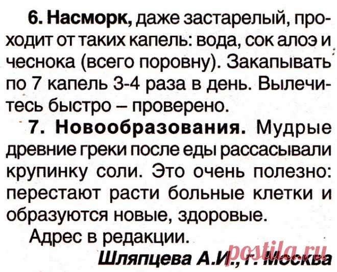 Навстречу Солнцу — LiveJournal