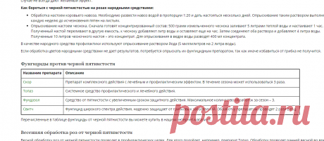 Черная пятнистость розы, лечение болезни, чем обработать, препараты и фунгициды - Vse Roste