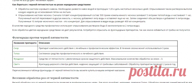Черная пятнистость розы, лечение болезни, чем обработать, препараты и фунгициды - Vse Roste