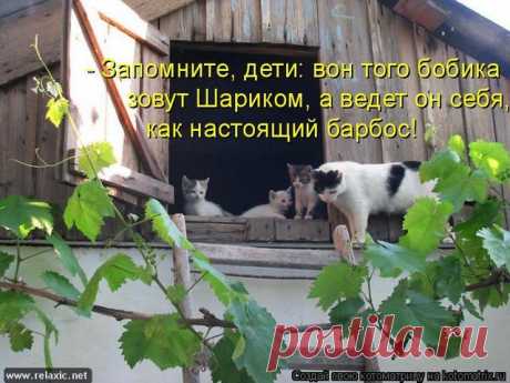 Юмор, позитифффчик на сон грядущий / Болталка / Юмор