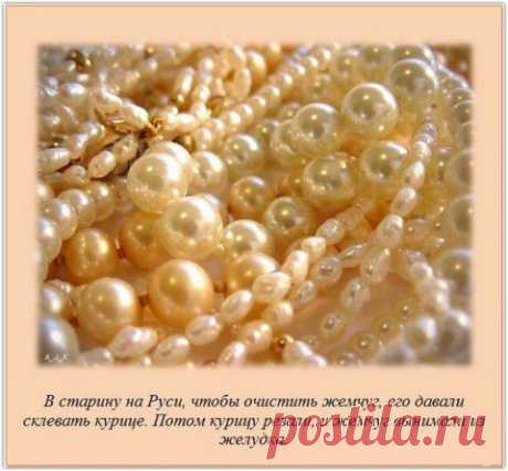 Интересные факты в картинках