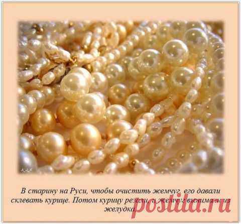 Интересные факты в картинках