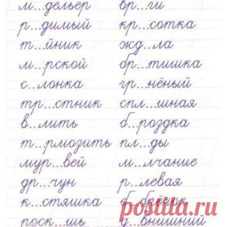 Учитель начальной школы