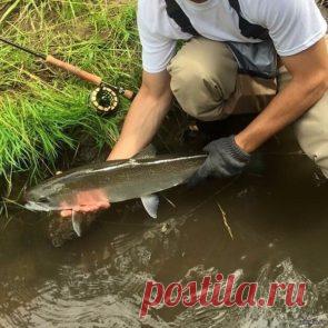 Лента по интересам. Знакомства на Tabor.ru