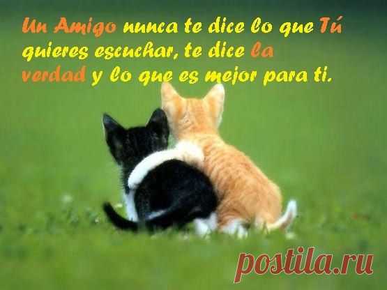 Друг никогда не скажет тебе то, что ты хочешь услышать.Он скажет тебе правду и то, что лучше для тебя. / Изучаем Испанский