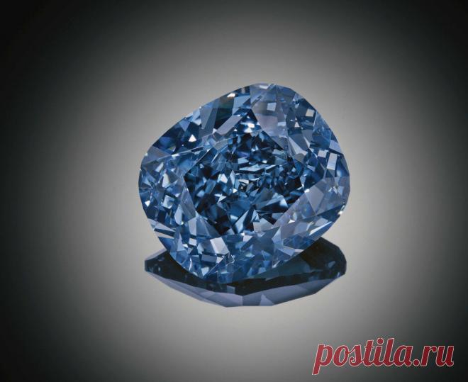 Топ самых невероятных и дорогих украшений, проданных на аукционе Sotheby's | ORO | Яндекс Дзен