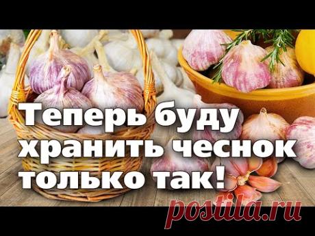 ЧЕСНОК НЕ БУДЕТ ГНИТЬ И СОХНУТЬ, ЕСЛИ ХРАНИТЬ ЭТИМ СПОСОБОМ