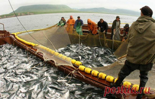 Росрыболовство наносит ответный удар по Китаю
  Объем рыбного экспорта, по предварительным данным Росстата, за январь–февраль 2021 г. упал на 41% – до 207 тыс. тонн, в денежном выражении – на 30% – до 497,5 млн долларов. Причина – закрытие китайских портов из-за ковида. По разным оценкам, Китай покупал от 60% до 70% всей российской рыбы, поставляемой на экспорт. Цифра серьезная, […]
Читай пост далее на сайте. Жми ⏫ссылку выше