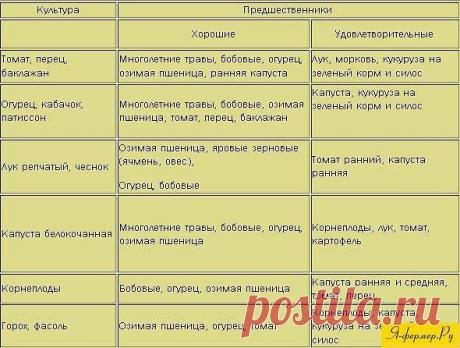 растения-предшественники