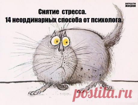 14 неординарных способов от психолога. Специалист рекомендует: