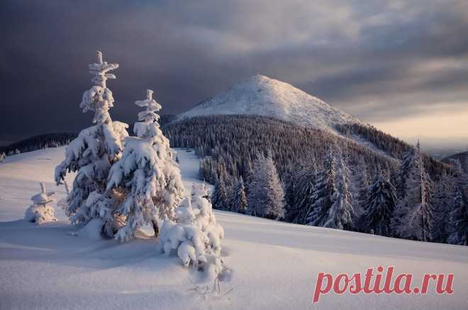 35PHOTO - Андрій Плясун - Полонына Хом'якив