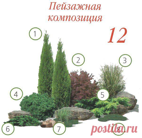 ВАРИАНТЫ ПОСАДКИ ХВОЙНЫХ РАСТЕНИЙ | Самоцветик